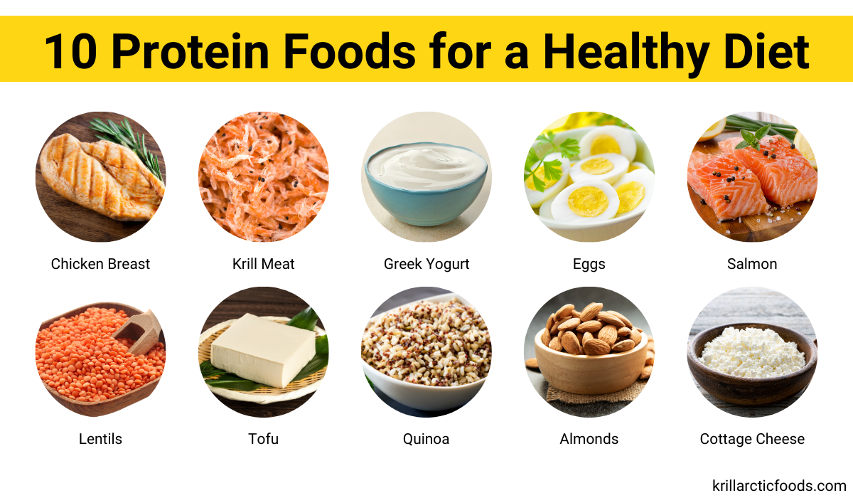 Discover Simple, Tasty Protein Foods That Fuel Your Day
